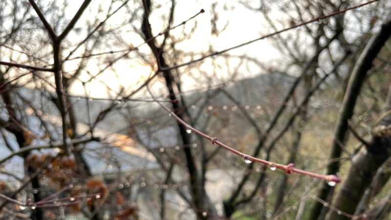 雨粒のイルミネーション