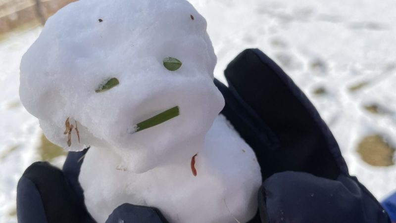 息子の作った雪だるま