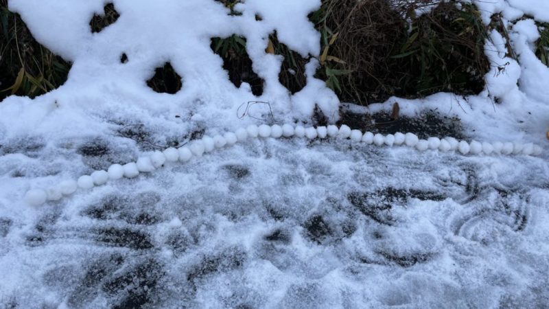 パウダーグローブで作った雪玉