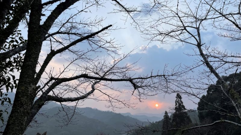 雨上がりの朝日