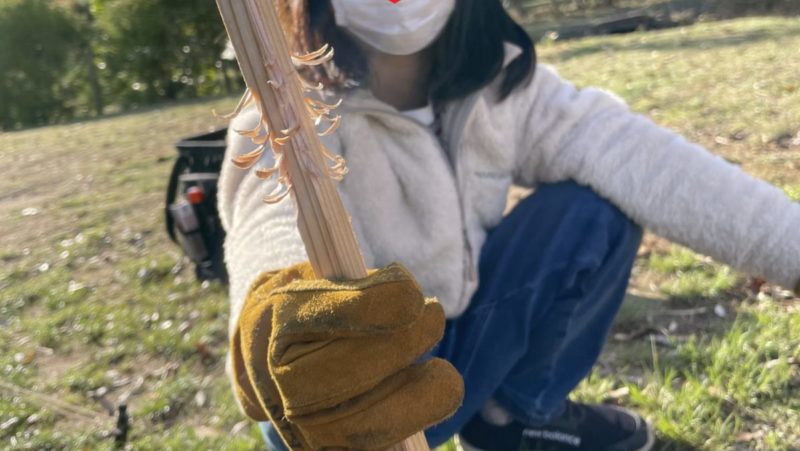 娘の作ったフェザースティック