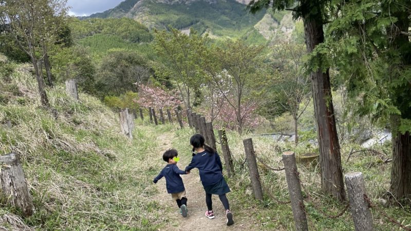 キャンプ場を散歩