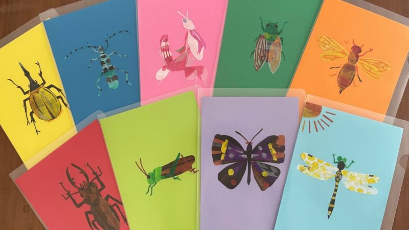 昆虫が描かれた和音カード
