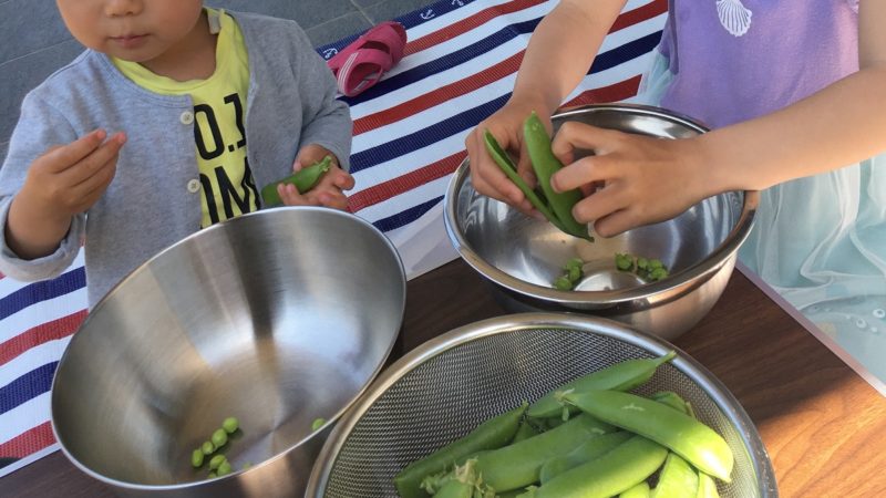 グリンピースの皮をむく子どもたち
