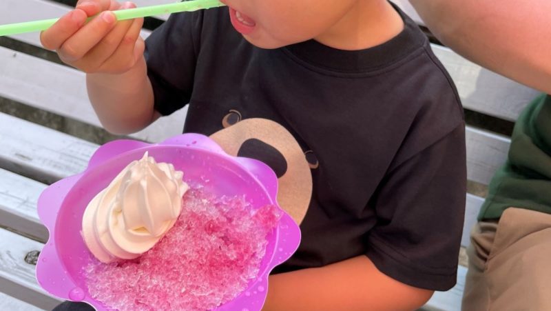 下山後のかき氷