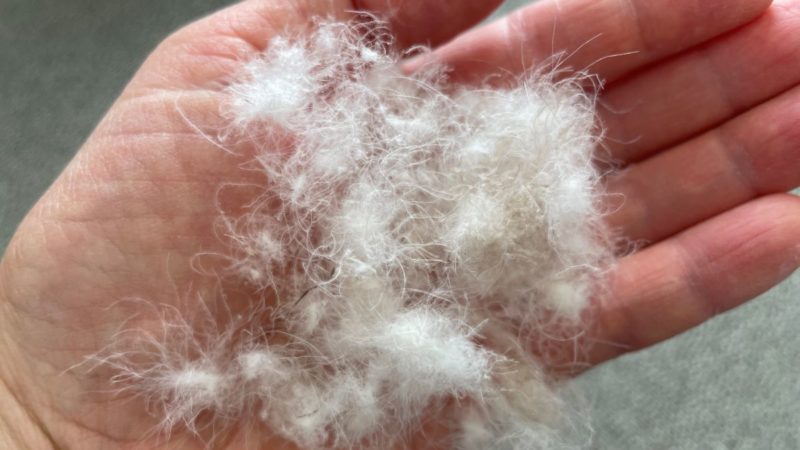 パーカーの中に入っていたダウンボール