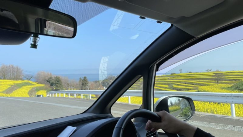 車窓からの菜の花畑