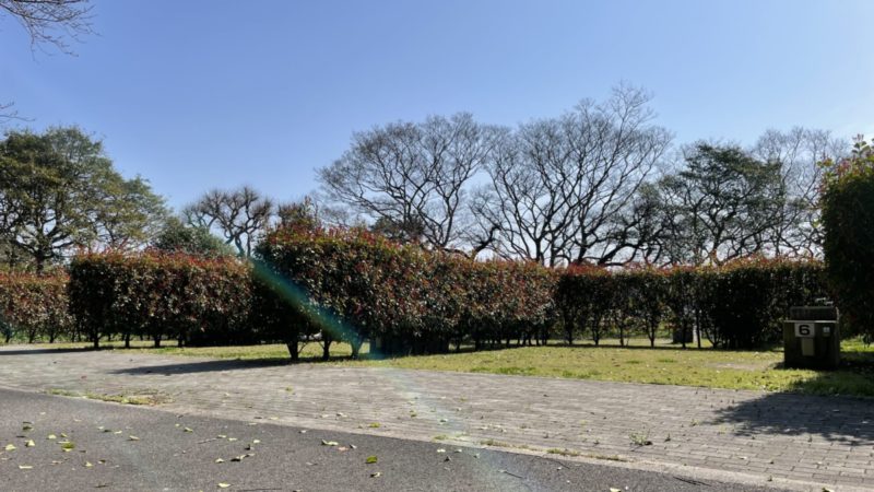 生垣で仕切られた区画サイト