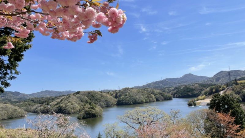 湖のほとりのサイトから