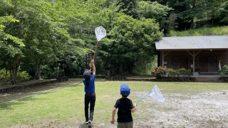 虫取りをする子どもたち